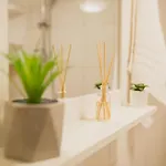 Apartment Kaleta *